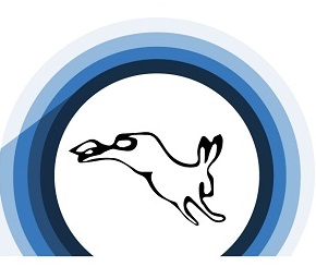 De Haas Media Producties